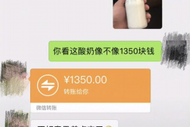 邵东贷款清欠服务